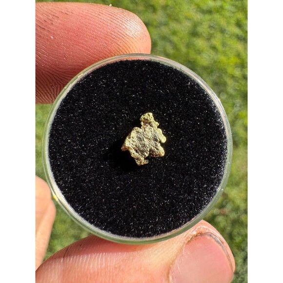 California Native Gold Crystal - 0.27 grams - Picture 2 of 6